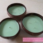 SOywax canddle coconut shell bowl