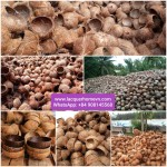 Vietnam natural coconut bowl manufacturer